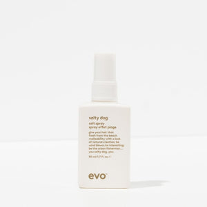Salty Dog Salt Spray 50ml